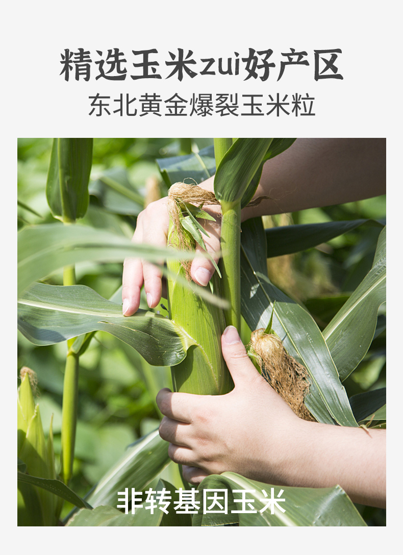 追劇神器 原味820g(圖2) 追劇神器 原味820g(圖2)